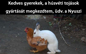 h�sv�ti toj�s